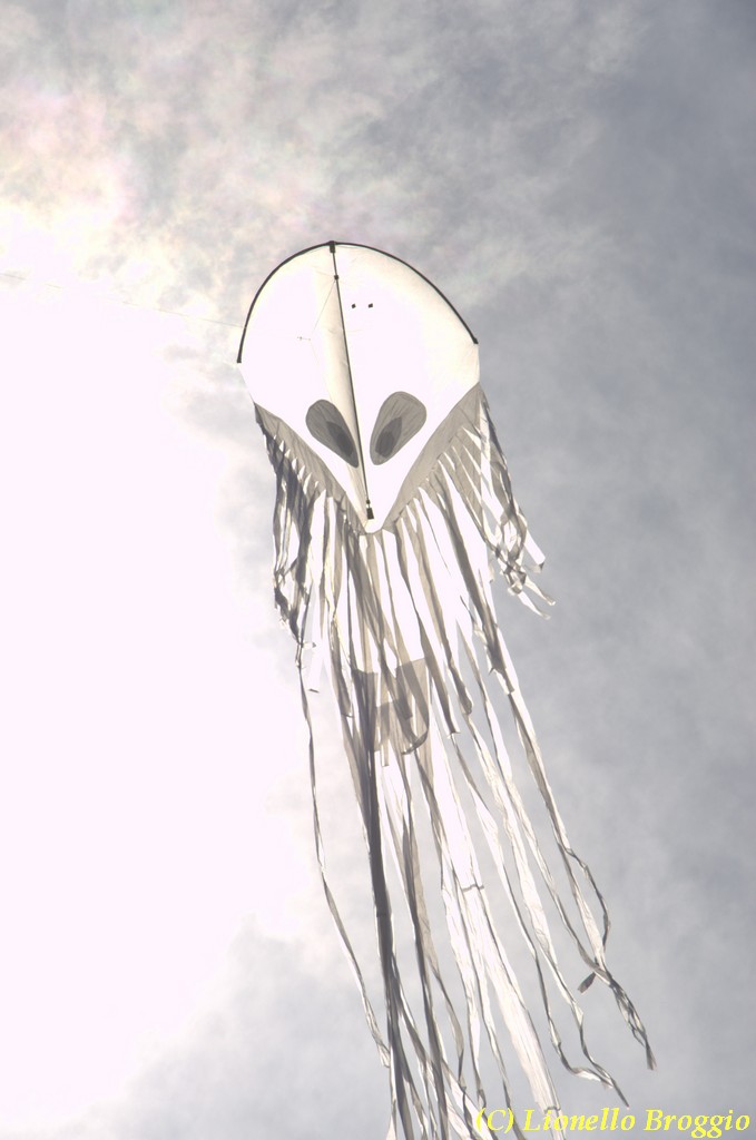 32 FESTIVAL CERVIA 2012 - 333.jpg